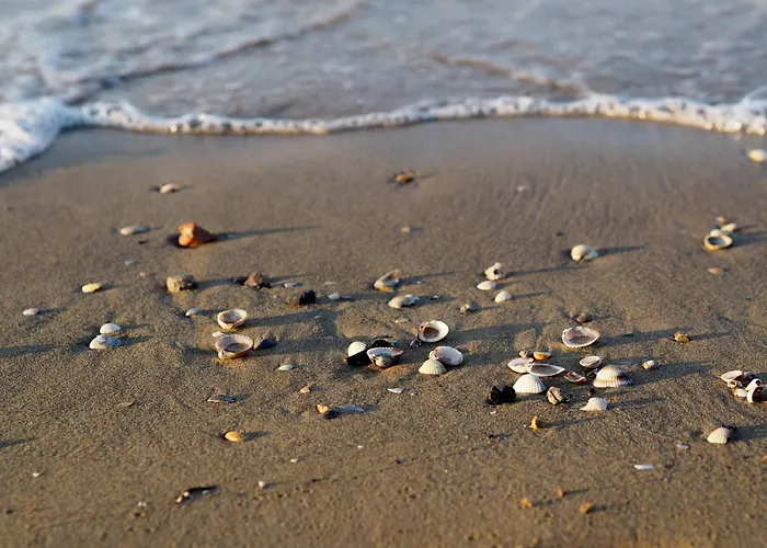 Modern Flat With Amazing View On The Lejlighed *